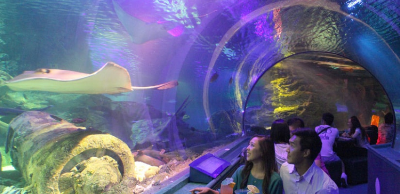 ocean-lounge.jpg