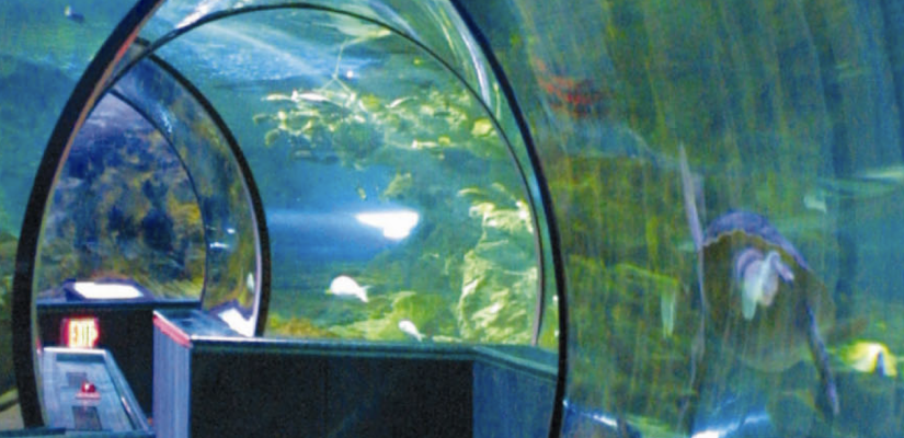 uww-tunnel.png