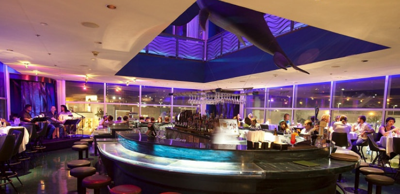 tail-of-the-whale-interior-1.jpg